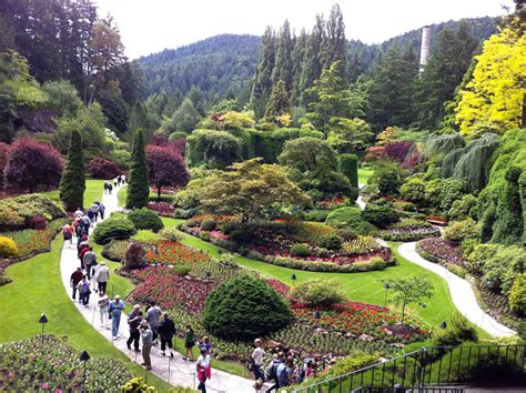 Butchart gardens - The Butchart Gardens. 800 Benvenuto Avenue. Brentwood Bay, BC V8M 1J8. Phone: 250.652.4422, Toll Free: 1.866.652.4422. Visit Website. E-mail. Book Now. Enjoy 22 ha (55 acres) of gardens year around. In Spring, countless tulips, daffodils, and hyacinths provide an abundance of fragrance and colour.